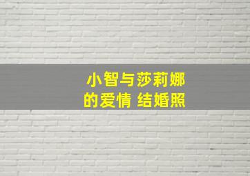 小智与莎莉娜的爱情 结婚照